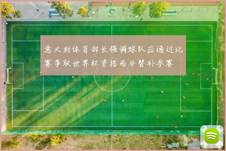 意大利体育部长强调球队应通过比赛争取世界杯资格而非替补参赛